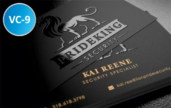 REGULAR VISITING CARDS Smooth Matt with Fine UV (Qty. 1000 Cards)